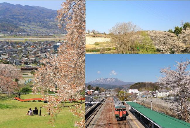 こんばんは。さて4月2回目の旅行記は、4月2週目に行ったしなの鉄道への115系撮影旅の模様です。<br />私はこの春の桜シーズンをもって、「本格的な撮り鉄趣味を一区切りにすること」を決断しました。<br />本来は新潟に行く予定だったのですが、残念ながら大好きな「かぼちゃ電車」が桜シーズンに走ってな～い…<br /><br />しかし今回は「卒業式」ということなので、「最後にかぼちゃ電車と桜のコラボを撮って有終の美を飾りたい！」<br />ということもあり新潟行きは急遽中止に。かろうじて長野のしなの鉄道では桜シーズン末期に走る予定があった為、行き先を長野に変更。ここの所週末に限って天気が崩れる週が多くてうんざりでしたが、この時に限っては最高の天気に恵まれました。それでは出発警戒…