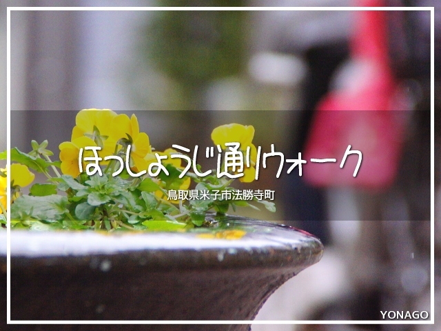 今回は山陰地方。鳥取県の米子です。<br />法勝寺町にある小路を歩きます。<br /><br />あいにくのお天気だけど、雨天決行。<br /><br />▽使用機材:SONY α55(弐号機)<br /> TAMRON AF18-200mm F3.5-6.3 XR DiII