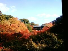 2010年秋、京都東山を歩く