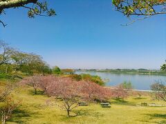 登米市の中心地、迫町をぐるっと