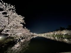 2021  弘前  桜旅 さくら・サクラ・桜　弘前公園　桜祭り　夜桜編 　ライトアップ