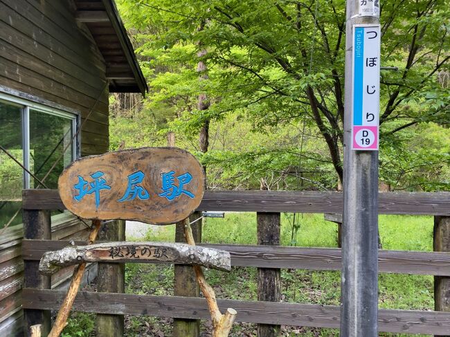 しまなみ海道サイクリングのあと、休みがもう１日あったので、今治で車を借りて、秘境駅の坪尻に行ってきた。<br /><br />夕方に車を借り、阿波池田で一泊。<br />朝一番で、坪尻に列車で行って、バスで阿波池田に戻ってくる。<br />その後は、祖谷の方に行って、その後は別子銅山に行ってきたが…<br /><br />阿波池田　6:41　→坪尻　7:02　土讃線普通列車<br />坪尻バス停　7:37　→阿波池田バスターミナル　8:05<br /><br /><br />しまなみ海道サイクリングは、<br />『アラフォー・初心者がママチャリで走る、しまなみ海道90km。宿泊は、うさぎの島　大久野島に、足を伸ばす。　　ラップタイムは参考にしてください』<br />を　ご覧ください↓<br />https://4travel.jp/travelogue/11688622/