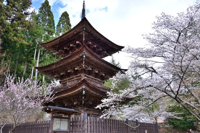 2018ぶらり信州・佐久平へ《Part.2》～桜に彩られた歴史遺産を巡る～
