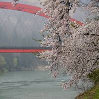 桜咲く春の会津柳津へ