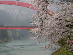 桜咲く春の会津柳津へ