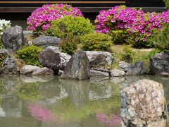 20210423-2 京都 智積院の名勝庭園、躑躅咲いてますねぇ