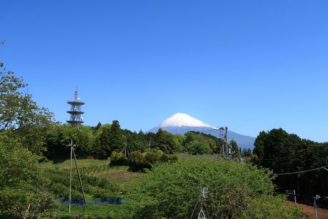 岩本山公園へ。<br />この公園からの富士山を見に行ったのですがあまり<br />良くなかったです。<br />公園は広く一部しか見ませんでした。<br />入園料や駐車料金は無料でした。