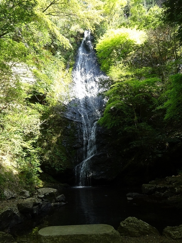 昨日まで宮津のホテルに泊まって天橋立と丹後半島に行きました。<br />今日は宮津市内を散策してから京丹波に向かいます。<br />宮津市内散策（金引の滝）―福知山城―琴滝（京丹波町）を巡り、京丹波の道の駅にあるフェアフィールドバイマリオット京都京丹波で泊まります。<br />