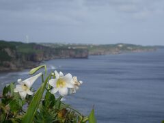 宮古島　東奔南走