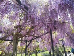 横須賀 グルメ に関する旅行記 ブログ フォートラベル 神奈川県