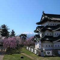 弘前公園 満開の桜　おまけで北海道新幹線と函館観光