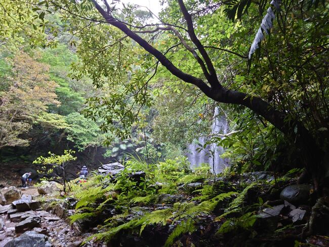 沖縄旅行 4泊5日（３） ター滝～帰路
