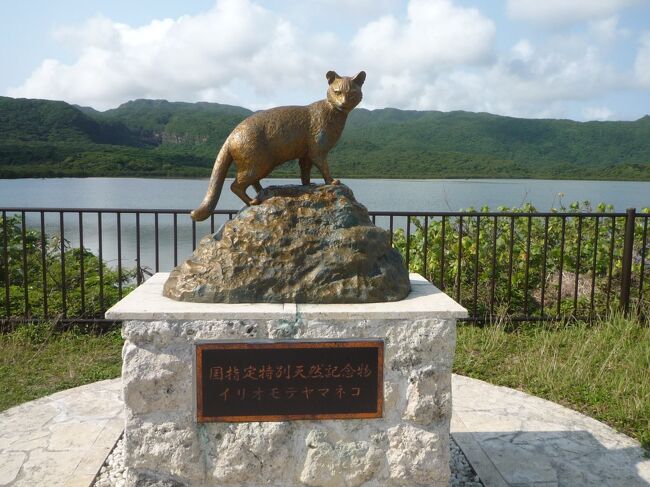 2021年4月11日（日）から4月17日（土）6泊7日で石垣島、西表島、竹富島を周って来ました。<br /><br />4/11　　成田空港13：25→南ぬ島石垣空港17：05 ピーチ(MM535)<br />4/11　　石垣島（ルートイングランティア石垣）1泊【＃1石垣島編-1】<br />4/12.13 西表島（竹盛旅館）2泊【＃2西表島編】<br />4/14.15 竹富島（内盛荘）　2泊【＃3竹富島編】<br />4/16　　石垣島（ホテルミヤヒラ美崎館）1泊【＃4石垣島編-2】<br />4/17　　南ぬ島石垣空港11：40→成田空港15：10ピーチ(MM532)<br /><br />今回、飛行機・宿は前もって予約ましたが、観光は行き当たりばったりで、八重山諸島をゆっくりのんびり旅をしてきました。