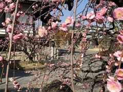 善峯寺、勝尾寺、總持寺、穴太寺