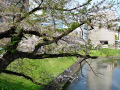 桜を見ながら旧軍人会館から靖国神社まで。二・二六事件を思い出させた荒木大将揮毫の碑。