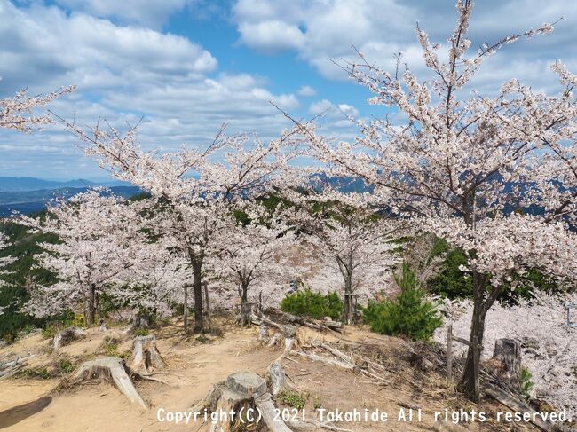 吉野