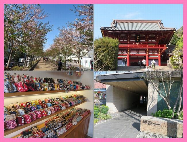 鎌倉へ（後）鶴岡八幡宮・芽の輪くぐりで疫病退散！ホテルメトロポリタン鎌倉♪やっと行けた！