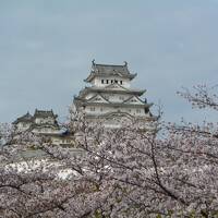 桜の花咲く姫路城、圓教寺、そして久しぶりの神戸