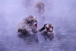 J57. 地獄谷温泉と五色の湯旅館