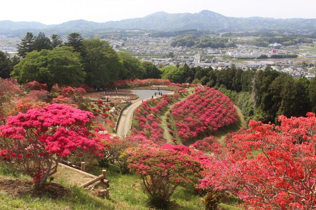４月末からはツツジの季節。<br />ツツジがきれいたと聞いて茨城県の笠間に行ってきました。<br />日動美術館、笠間城跡も一緒にまわってきました。