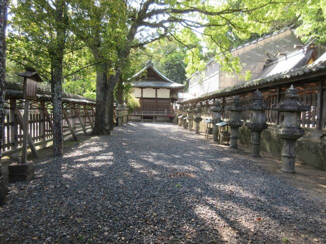 闘鶏神社を観光しました。<br /><br />初日から夏日になり、とても暑かったです。