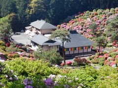 塩船観音寺☆2万株のつつじを見守る観音様・たまご倶楽部