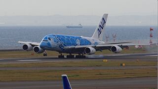 セントレアにＡＮＡ Ａ３８０亀ちゃんがやってきた