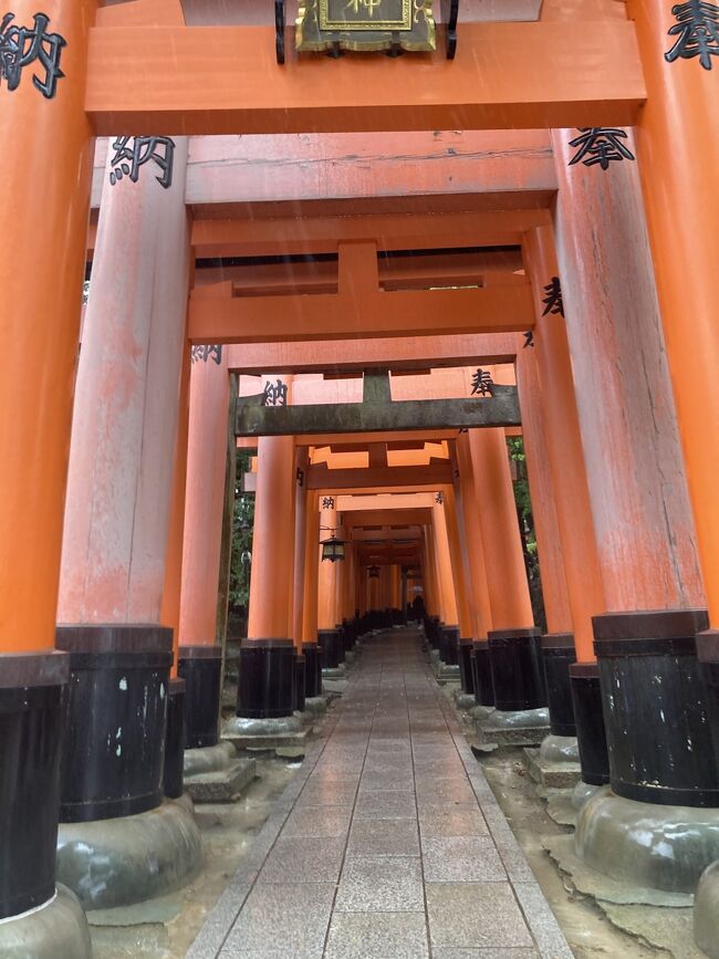 期限が近づいてきた宿泊券を使うために京都・大阪旅行をしました。<br />京都を訪れるのは学生の時以来ほぼ10年ぶり。<br />そんなに神社・寺に興味があるわけではないので、おいしいものを食べながら代表的な観光地を巡ろうと思いました。<br /><br />京都旅行2日目は雨に見舞われて最悪でした...