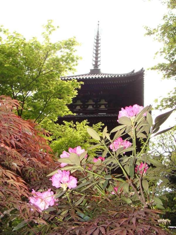 関西花の寺  !  當麻寺・西南院