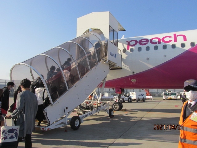 Peachは桃の事だ。この会社はＬＣＣの一つだが、一応はＡＮＡの子会社となっている。何故、ピーチ、桃の名前にしたのか、その背景は分からない。ＬＣＣとはLow Cost　Carrierの略で、即ち日本語で言うところの格安航空機のことだ。３年前、スペインを旅行した際、バルセロナからサンチャゴまで国内航空機を利用したが、その時乗ったのがVuelingという会社のＬＣＣだったが、その親会社はイベリア航空。<br /><br />日本でもＪＡＬの子会社としてジェットスターがあり、ＡＮＡのピーチと安売りチケットで張り合っている。金持ちでない人にとって安売り航空券は魅力的だが、唯一の欠点は、一度した予約を変更できないということだ。又、予約をキャンセルしたら、先払いの航空代金は没収される。いずれにしても予約と同時に航空券を購入し、その便に乗れなくなった場合には、購入代金は払い戻しされない。誰が最初にこうしたシステムを考案したのかは知らないが、キャンセルは確実に起きない、との会社と利用者との共通利害で一致しているのだろう。<br /><br />過去ジェットスターに乗ったことはあるが、ピーチに関しては、前回２月の石垣行に引き続き２回目の搭乗となる。LCCはどこもまあ似たようなもので、畿内での飲食サービスはすべて有料となる。缶ビールが確か５００円程か。自分は頼んだことはないので、正確な値段は分からない。前回の機内では、誰かが何かを注文している姿は見なかったが、多分割高が敬遠されているのだろう。航空運賃と同様に、薄利多売でやっていけば、大いに売り上げも上がるとは思うのだが・・。<br /><br />東京駅を出た高速バスは１時間少しで成田空港第３ターミナルに到着。空港は前回来た時よりは明らかに人の動きも増えていて、若干ながらも賑わいを見せている。こうでなければ空港も航空会社も観光会社もホテルもどこもかしこも立ち枯れしてしまう。コロナによって人の命が殺されるよりも前に、社会が壊滅するだろう。我々二人の今回の石垣行は、そうしたささやかな抵抗の気持ちもある。コロナにやられてなるものかと。<br /><br />搭乗口ロビーには既に何人かの搭乗客が時間待ちをしていた。午前７時、出航２０分前に搭乗開始のアナウンスがあり、ゲートイン。今日も又空港バスで搭乗機へ。タラップを上り機内へ。右側後部座席。今日の天気は良さそうだ。７時２０分、定刻に離陸。安定飛行に移った段階で、今朝電車に乗る前に駅前の２４時間コンビニで買ったサンドイッチをおもむろに取り出し、お洒落な朝食とした。