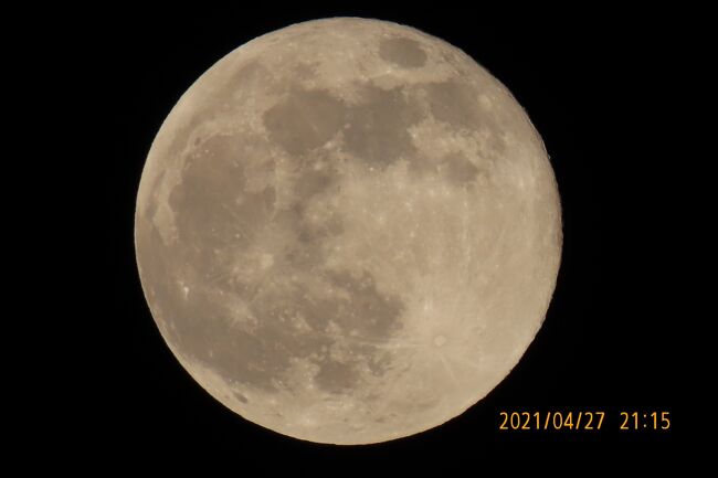 4月27日、午後9時過ぎにふじみ野市より、四月の満月であるピンクムーン(桃色月)を撮影できました。　月と地球の距離が36万キロを切るので普段の満月より大きく見えました。<br /><br /><br /><br />*写真は午後9時15分に撮影したピンクムーン