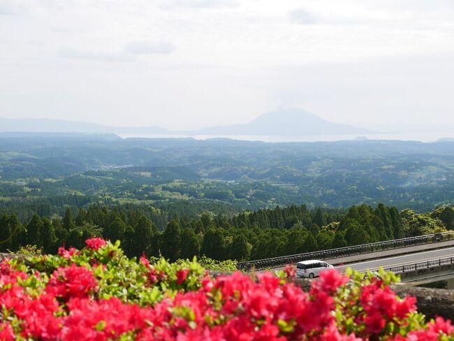 どこかにマイルの行き先は宮崎になったけど、鹿児島まで足を延ばして -2-