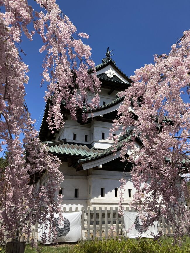 熊本から戻った翌日、単身弘前へ。桜を見ようと1か月前に半額で新幹線を取ってけど、今年は例年より9日早い開花。残念ながらピークは過ぎてしまったけれど、きれいな花筏が見れ、弘前自体も初めてだったので、街歩きを楽しんできました。<br /><br />日帰りリモートワークなので、移動中は仕事。新幹線はなかなか仕事がはかどる。