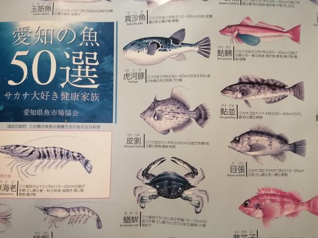 地元愛知県の南知多町から出ていたクーポンとGotoを利用して、冬の海の幸を堪能しました。<br />離島に渡らなければアクセス楽々ということで、今回は離島なしの知多半島だけ&12月と1月の2か月間で5回宿泊。<br /><br />その1は、宿泊した5軒の民宿・旅館の旅行記です。<br />民宿は「魚虎」「松新」「大友」、旅館は「三好屋」「田中屋」で、1泊2食税込10000円~12000円と大体同じくらいの料金で予約しました。<br />宿泊料金は2人で泊まったときの1人分で、割引前の金額です。<br />「おお~!」という宿も「あぁ・・」という宿もあったけど、魚貝のおいしさはどこも間違いなかったです。