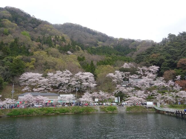 「日本さくら名所100選」にも選ばれている、滋賀県は海津大崎の桜。一度は見てみたいけど、車が大渋滞するし~タイミング難しいし~、ということで未訪問でした。そこで見つけた得意のバスツアー、今年は桜の開花が早いということで、ツアー設定日の初日を選んで予約。友人Mと参加してきました。さて、当日のお天気は?開花状況は??<br />*枚数が多いのでさら~っと流していただければと思います。<br /><br />琵琶湖汽船<br />https://www.biwakokisen.co.jp/<br /><br />奥琵琶湖マキノグランドパークホテル<br />http://www.gphotels.jp/<br /><br />びわ湖大津館<br />http://www.biwako-otsukan.jp/index.html<br /><br /><br /><br />
