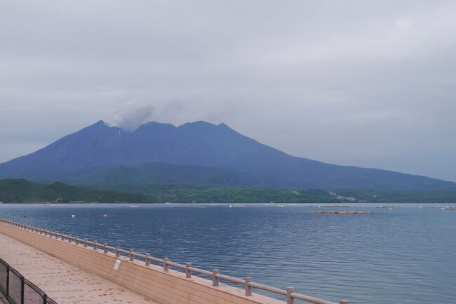 美味しい焼酎が飲みたいねっという話から計画した鹿児島の旅。<br />私にとっては初めての鹿児島へ(夫は2回目)サクッと行ってきました。<br />一泊では時間が短すぎて、観光も、のんびりしたいお宿滞在もどちらも中途半端になってしまったけど、またいつの日か再訪できる日を夢見て 次回の楽しみに取っておきたいと思います。<br /><br /><br />きりしま 悠久の宿 一心<br />https://www.isshin-kirishima.jp/