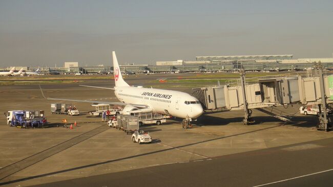羽田空港から青森空港に飛び、高速バスで、弘前市内に入る。