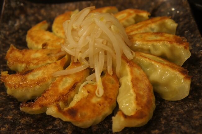 21年2月 おいしい餃子を食べに浜松へ ドイツビールも飲みたいね 掛川花鳥園で引退直前ポポちゃんにも会い 石屋の安倍川餅もおいしかった 浜松 静岡県 の旅行記 ブログ By さじたろーさん フォートラベル