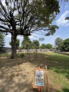 　神社仏閣霊園巡りのコロナの一年、今日も行きます。徳川慶喜・渋沢栄一墓所ちょっとだけアメ横