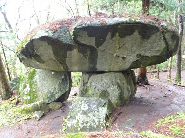 入畑温泉より花巻の観音山円万寺を参拝し､遠野の続石を見学します｡宮古で昼食を戴き､浄土ｹ浜と宮古湾海戦記念碑を見学し､小本 岩泉に行きます｡<br /><br />④5月3日(月）(番号は通過した国道･県道です。)  <br />起床5:30 入浴 朝食(7:00-7:45)を戴き<br />H8:00発(車-122-37-(E46)-和賀川を通り-大鳥居を通過し<br />1)(観音山円万寺)(8:25-8:56)(花巻市膝立観音山)(八坂神社 観音堂 花巻の散居 坂上田村麻呂が植えた祖母杉 多田筆観(ﾁﾍﾞｯﾄで修行)が一時期住んでいた一燈庵 川田瑞穂の鐘銘等を参拝し<br />(車-12-北上川-283-宮沢賢治童話村近く-161-396-呼ばれ石-南部曲り家千葉家を通り<br />2)(続石)(9:55-10:36)岩手県遠野市綾織町上綾織)(巨石信仰文明の名残ﾄﾞﾙﾒﾝで鳥居 弁慶の昼寝場所(窪地) 泣き石 不動岩前より旧遊歩道 祠 続石(2つの土台の石と笠石(7m)まで登ります｡)田家の大杉を見て<br />(車-猿ｹ石川-遠野IC(E46東北横断道 遠野の町を遠くから見て)-釜石JCT-(E45釜石山田道路(2019年3月全線開通)-甲子川･釜石の町-船越湾-山田湾)宮古中央IC-宮古中心部を通りｰ45-248蛸ﾉ浜-浄土ｹ浜に着きます｡<br />3)(昼食)浄土ヶ浜ﾚｽﾄﾊｳｽ浜処｢うみねこ亭｣(12:25-12:55)白い奇岩と青い海の三陸海岸を見て<br />4)(浄土ヶ浜の宮古湾海戦記念碑)(戊辰戦争の時､旧幕府軍の土方歳三と新政府軍の東郷平八郎が戦った所です｡<br />(車-248-45-田老駅-田老真崎IC(E45釜石山田道路)岩泉龍泉洞IC-455ｰ小本川-道の駅｢岩泉｣(楽天球場)-岩泉に向かいます｡<br /><br />(花巻の観音堂円万寺について)<br />花巻は宮沢賢治の生誕地で､又､円万寺は歴史が古いお寺です｡<br />蝦夷征伐でここに来た坂上田村麿が807年馬頭観音様を祭ったのが円万寺観音堂だそうです｡明治時代の廃仏毀釈で観音堂の本尊を移し八坂神社を奉遷したそうです｡その為､今､境内に神社と寺が共存しています｡<br />(遠野の続石について)<br />遠野は遠野南部藩1万2500石の城下町ですが､柳田国男の民話集｢遠野物語｣で有名です｡<br />続石は山道を15分程登ります｡｢遠野物語｣の第91話にでてくる奇石で､古代人の墓(巨石信仰文明の名残りで｢ﾄﾞﾙﾒﾝ｣)とも弁慶が持ち上げて作ったともいわれています｡<br />(第91話は鳥御前という鷹匠が続石の所で赤い体をした男女を人間ではないと思い､切り付けた所､意識を失い3日間後に亡くなったという話で男女は｢山神｣であった｡(鳥御前と山神の祟りの話しです｡)<br />(宮古湾海戦記念碑)<br />戊辰戦争の時に､旧幕府軍の土方歳三と新政府軍の東郷平八郎が戦った所で旧幕府軍が新政府軍の主力艦｢甲鉄｣を奪う作戦｢ｱﾎﾞﾙﾀﾞｰｼﾞｭ｣を行いましたが､失敗した戦闘です。<br />{旅程}<br />①4/30(金)大宮駅 郡山駅 吾妻小富士 桑折(万正寺の大ｶﾔ) 白石(材木岩) (泊)秋保温泉<br />②5/1(土)秋保大滝 蔵王山(御釜) 東根(大ｹﾔｷ) 羽黒山(五重塔) (泊)湯ﾉ沢温泉<br />③5/2(日)鮭川(小杉の大杉) 鳥海山 象潟(あがりこ大王) (泊)入畑温泉<br />★④5/3(月)花巻(円万寺) 遠野(続石) 浄土ｹ浜(開戦記念碑) 安家洞 龍泉洞(泊)<br />⑤5/4(火)盛岡(三ﾂ石神社 石割桜) 岩手山焼走溶岩 尾去沢鉱山跡 (泊)森吉山荘<br />⑥5/5(水)森吉山(ﾊｲｷﾝｸﾞ) ｸﾏｸﾏ牧場 ﾏﾀｷﾞ資料館 (泊)森吉山荘<br />⑦5/6(木)大太鼓の館 きみまち杉 銀杏山神社(ｲﾁｮｳ) 五能線乗車 北金ｹ沢大ｲﾁｮｳ(泊)嶽温泉<br />⑧5/7(金)岩木山山頂 白神湖(水陸両用車) 新青森駅(ﾚﾝﾀｶｰ借) (泊)浅虫温泉  <br />⑨5/8(土)横浜菜の花 恐山 奥薬研温泉 下風呂温泉 大間崎 (泊)大間<br />⑩5/9(日)仏ｹ浦 脇野沢(ﾌｪﾘｰ)蟹田 竜飛岬 十三湖 金木(斜陽館) 新青森駅 大宮駅