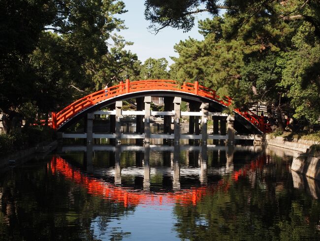 旅の初日は大阪<br />西国札所の葛井寺、御陵印で訪れた古市の応神天皇陵、これで大阪に来た目的はコンプリートしました。<br />近くの道明寺に寄ってからレンタサイクルを返し、住吉大社に移動。<br /><br />