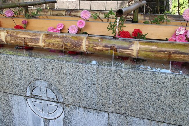 今季の雪山は「緊急事態宣言」であきらめて、予約していたホテルはキャンセル。<br />例年よりも寒い冬だから雪が持つのでは?と緊急事態制限が明ける予定の3月頭に東北を計画していたが、<br />東京は延長となってしまって、それも白紙。<br /><br />ならば、ひとりで春休みを取っちゃえとPeachのセールの時にぽち。<br />ちゃんと「緊急事態宣言」も明けたしね・・・と思ったのもつかの間、今度は「マンボウ」だってさ。<br /><br />・・・・・・・・・・・・・もぅ、知らないよ!<br />っと行ってきちゃいました。<br /><br />行先は鹿児島。目的地は種子島。<br />春馬君の遺作のひとつである『天外者』の五代友厚の出身地であることから、<br />次の『日本製』巡礼は鹿児島が良いなと思っていたので。<br /><br />鹿児島は2回目。<br />初回は30年以上も前の学生時代。<br />しかも、宿泊無しで桜島と市内をちょこっと観光しただけだったから、実質初めてのようなもの。<br />乗り物の中で過ごした時間が長かった4日間だけれど、楽しかった!<br /><br /><br />4/15(木)羽田 → 鹿児島 → 種子島 ★こちらの旅行記<br />4/16(金)(JAXA)種子島 → 指宿<br />4/17(土)指宿 → 知覧 → 鹿児島<br />4/18(日)鹿児島 → 成田