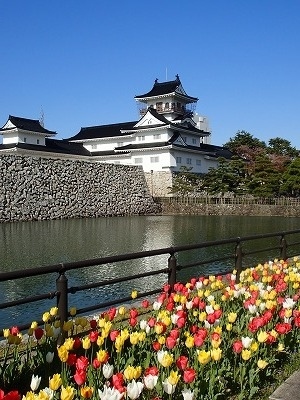 《桜》<br />1)<br />羽田→富山、<br />ランチ＠駅前、<br />富岩運河環水公園 ( ふがんうんが かんすいこうえん )、<br />et vous （エヴー）、<br /><br />2)<br />あいの風とやま鉄道、<br />朝日町：あさひ舟川、<br />ランチ＠et vous （エヴー）、<br /><br />3)<br />東岩瀬、<br />旧馬場家住宅、<br />沙石（させき）、<br />岩瀬浜、<br />富山城址公園、<br />お城の見えるカフェ、<br />大和デパート、<br />富山→東京<br /><br /><br /><br />2021-05-05　　UP