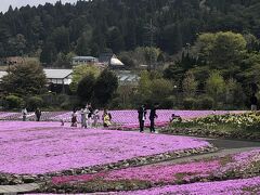 花のじゅうたん クチコミ アクセス 営業時間 三田 兵庫 フォートラベル