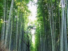 中学生以来の京都修学旅行(3)