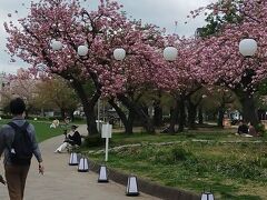 2021年3月高知旅行3　東京で後泊