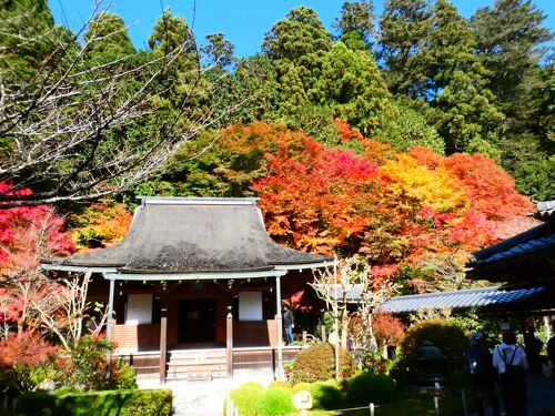 京都 大原 寂光院(Jakko-in Temple, Ohara, Kyoto, JP)』八瀬