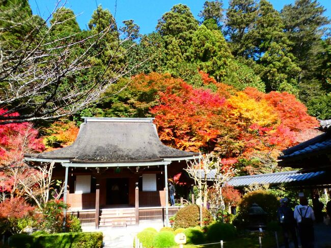 京都 大原 寂光院(Jakko-in Temple, Ohara, Kyoto, JP)