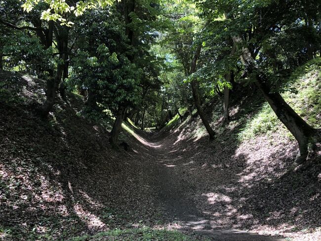 小田原城の遺構めぐりで、城山公園へ。<br />城山公園は、周囲9キロの小田原城の外郭の北西端にあたるところで、戦国時代の小田原城の土塁の跡が、きれいな形で残されている国指定史跡が見どころです。<br /><br />城山公園周辺の散策のあとは、小田原城址公園の藤の名所「御感の藤」へ。今ちょうど見頃でした。<br />