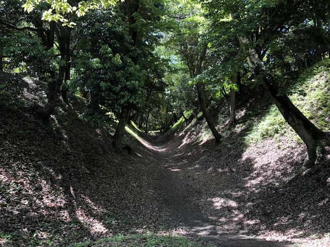 小田原城の遺構めぐりで、城山公園へ。<br />城山公園は、周囲９キロの小田原城の外郭の北西端にあたるところで、戦国時代の小田原城の土塁の跡が、きれいな形で残されている国指定史跡が見どころです。<br /><br />城山公園周辺の散策のあとは、小田原城址公園の藤の名所「御感の藤」へ。今ちょうど見頃でした。<br />